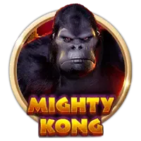 pp image