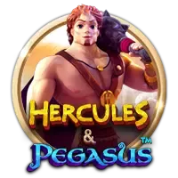 pp image