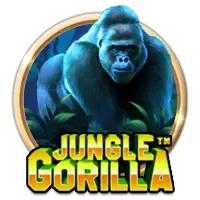 pp image